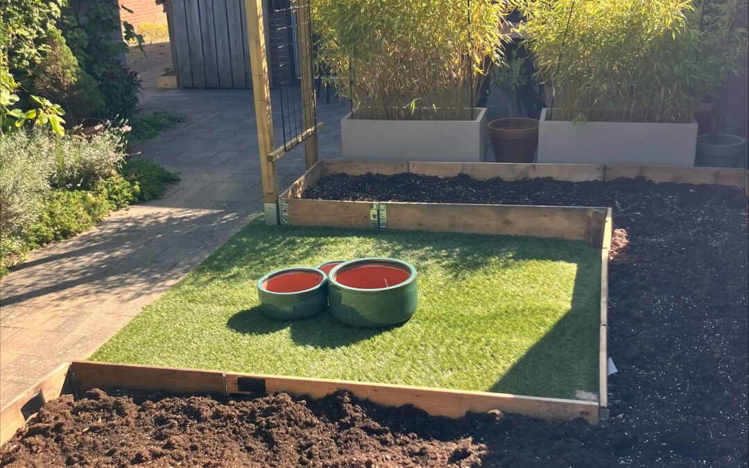 Inwoner legt Moestuin aan via onze subsidie!